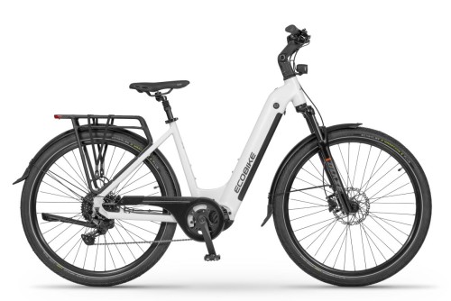 ROWER ELEKTRYCZNY ECOBIKE LX300 36V25AH LG 